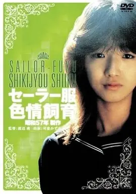 电影《闪电侠》海报